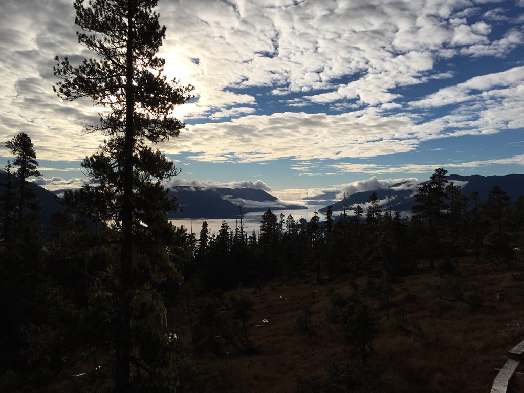 James_Kuzma's tweet photo. Yesterday was leg day @chelseakarr but it was worth it. https://t.co/eJrykMeoiF