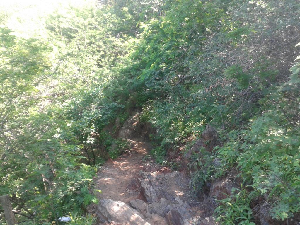 Shaky_Eco_Cuc's tweet photo. Bosques de taganga cuidemos y hagamos de estos una #TagangaLimpia https://t.co/rvvHu3Vz0Q