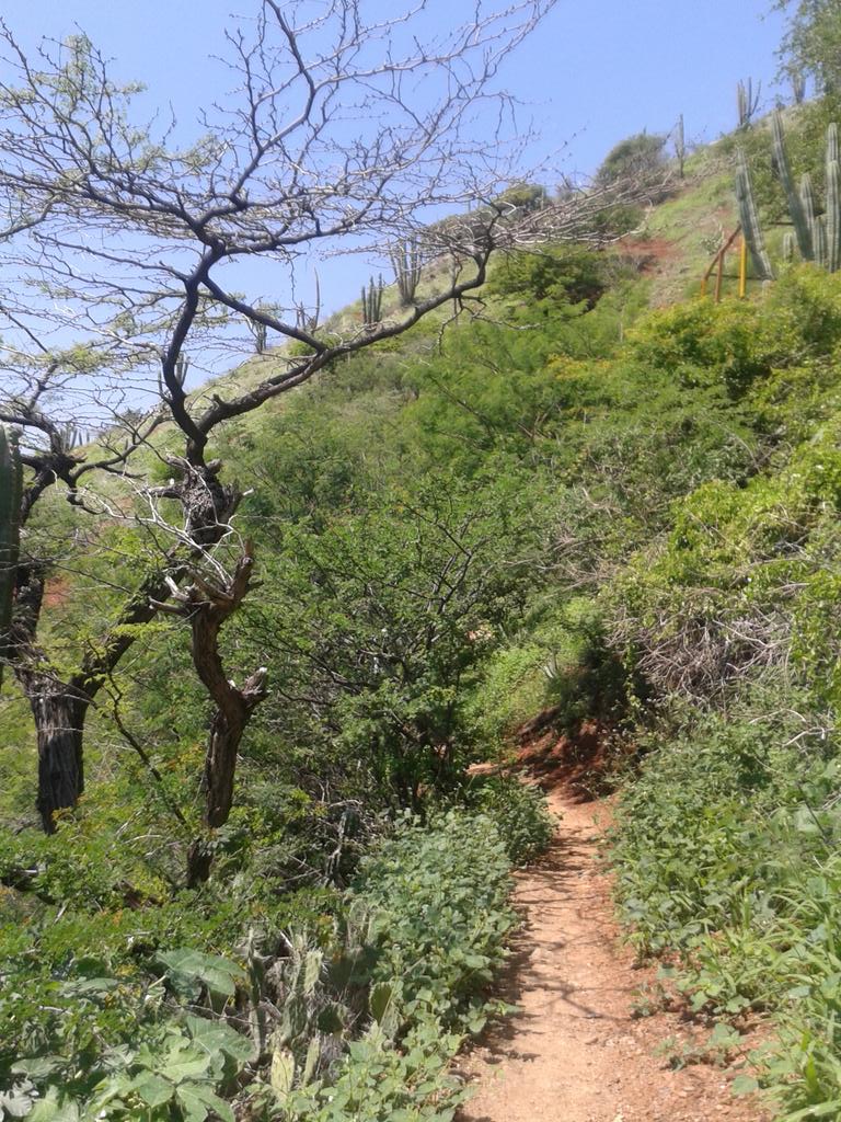 Shaky_Eco_Cuc's tweet photo. Acantilados de Taganga, recolección de basura todos por una #TagangaLimpia https://t.co/zKUmS46XGF