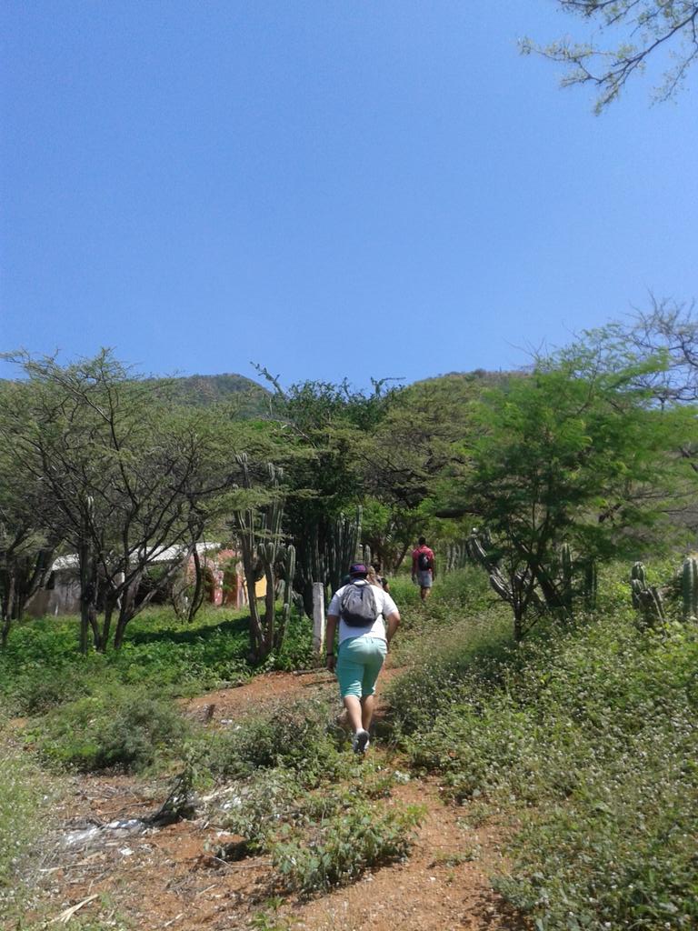 Shaky_Eco_Cuc's tweet photo. Bosques secos de Taganga limpieza y restauración por una #TagangaLimpia https://t.co/VzZ7waJHF1