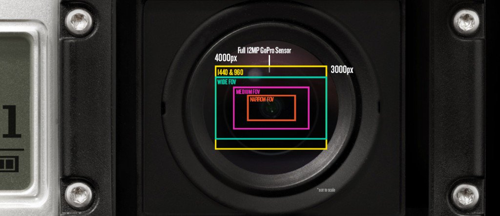 go4pro.ru tweet media