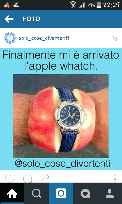 sofysesto tweet picture