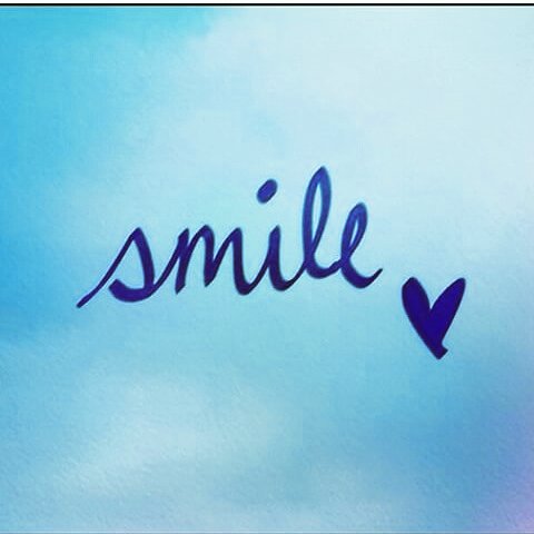sofysesto tweet picture