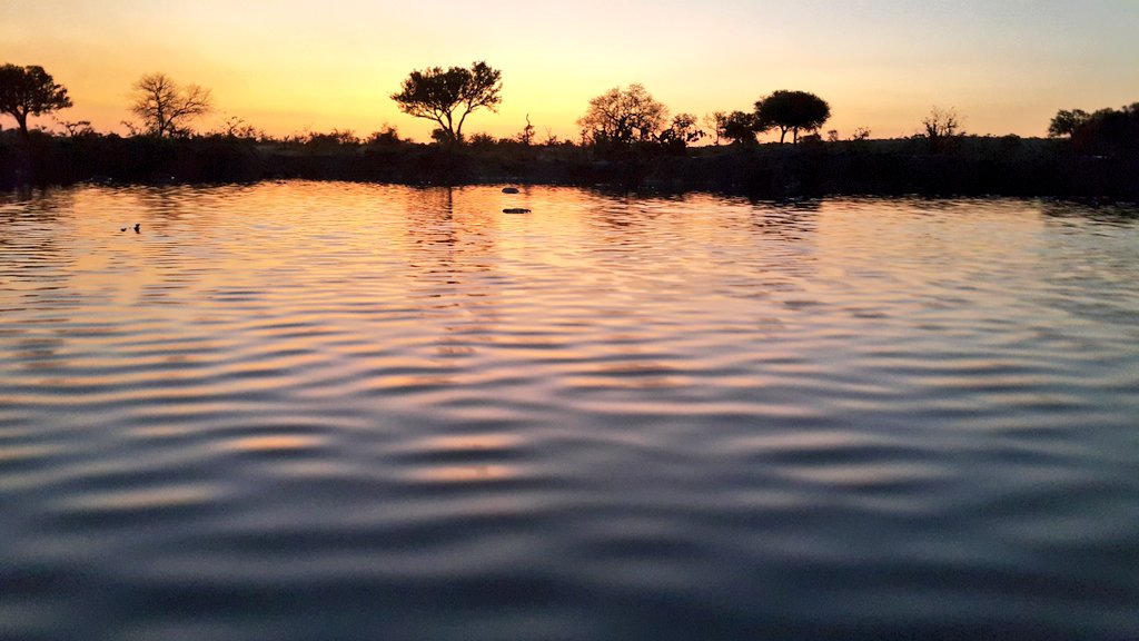 A deceptive scene in this harsh dry environment. Elephant Valley pan. Off to look for Tumelo. A lioness in the area.