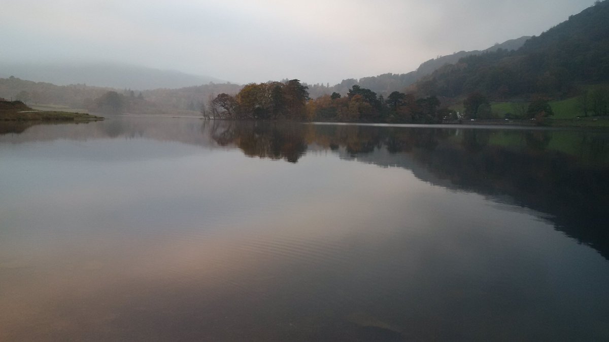 golakes's tweet photo. A beautiful misty evening on the side of Rydal in the #LakeDstrict #theplacetobe #fog https://t.co/6ffpxIacE2