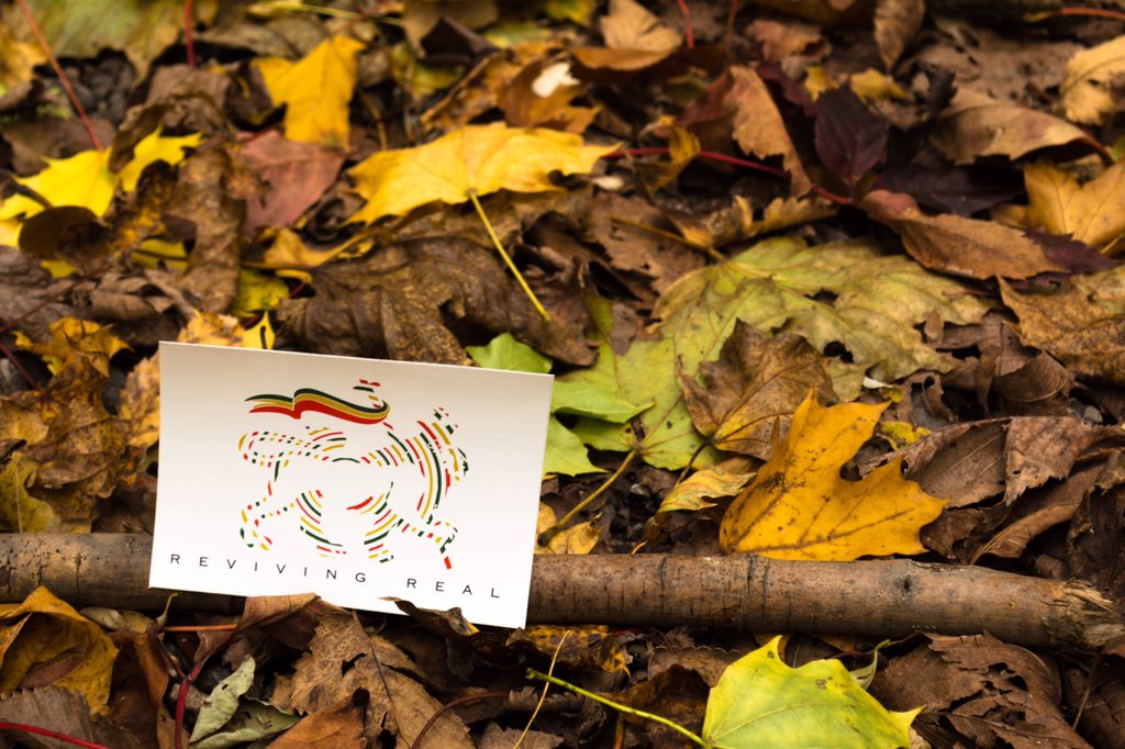 RevivingReal's tweet photo. Check out this awesome fall shot by π·:@tylercalpin #RevivingReal https://t.co/sGjmLymb7I