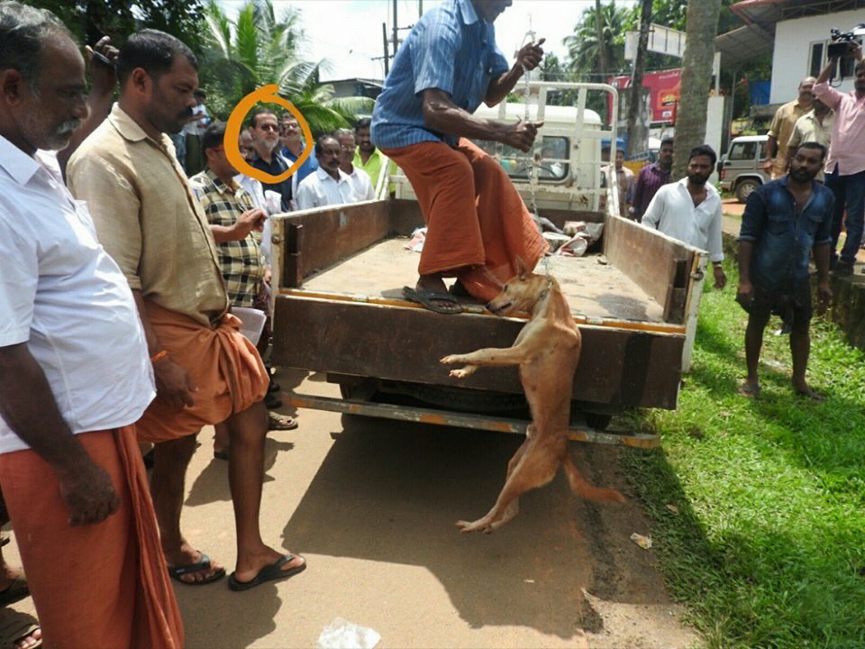boycottkerala's tweet photo. Keralas "hero"-chootapilly.This fktard and his numbnuts supporters r the ones responsible 4 eradicating Kerala dogs https://t.co/0t8098h4VF