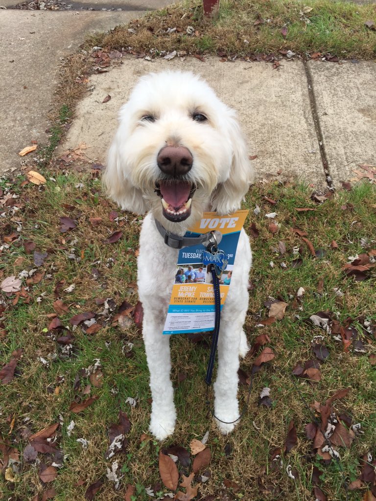 MAX_Dogs4Foust's tweet photo. Barking out the word for @JeremyMcPike in #PWC! Lets turn the #Virginia Senate #Red2Blue! Woof! #Dogs4McPike https://t.co/ABQ3iBtKxp