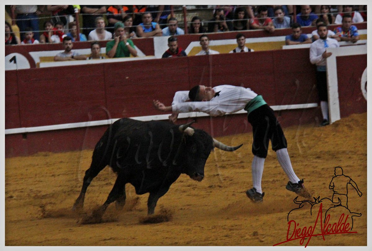 DIEGO ALCALDE tweet media
