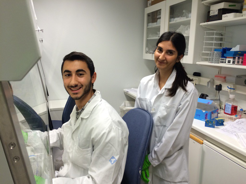 nkbjorkstrom's tweet photo. Teaching Kimia and Carles how to isolate #NKcells @miltenyibiotec #NBgroup https://t.co/h1YX1A8HF0