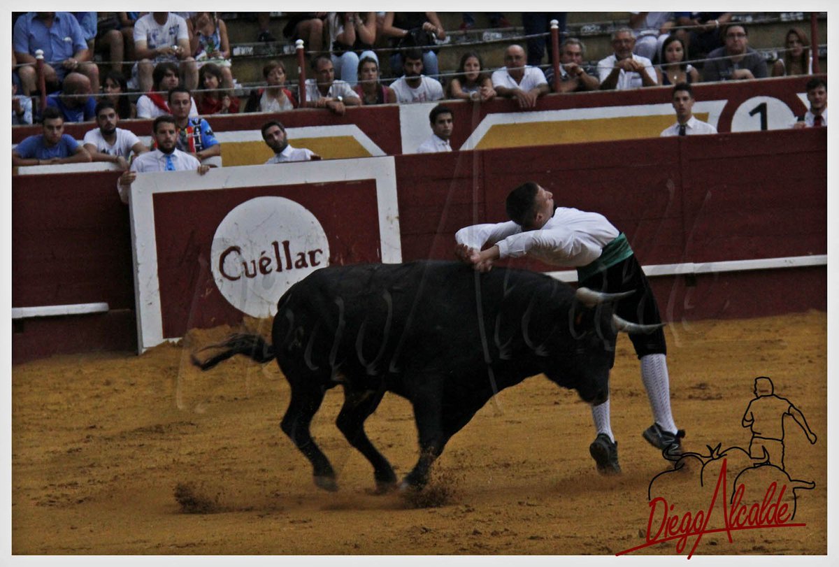 DIEGO ALCALDE tweet media