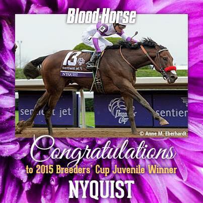 Very proud of the Kid and @Mario_GUTIEREZ <a href="/BreedersCup/">Breeders' Cup</a> #Nyquist