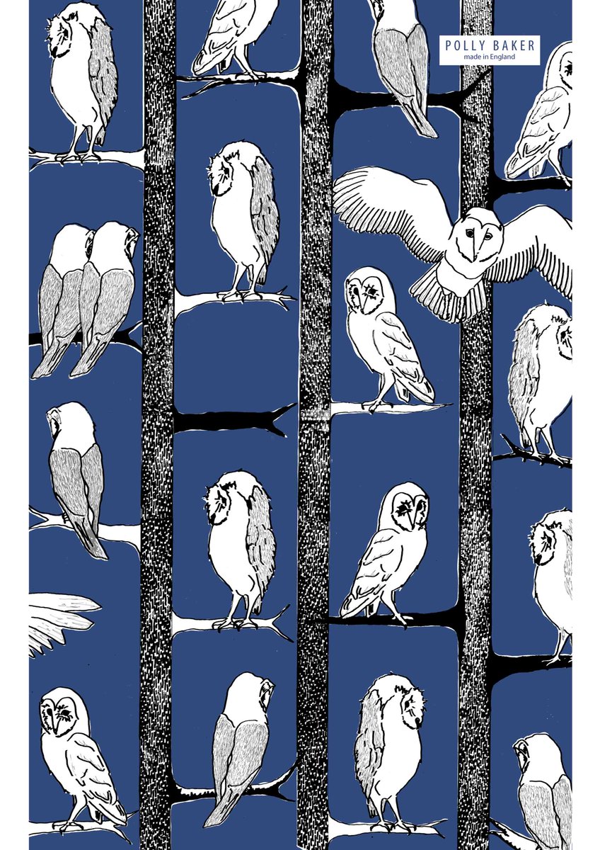 NEW BARN OWL TEA TOWEL! An exciting new design, which will look fantastic in your kitchen, or perfect as a present.