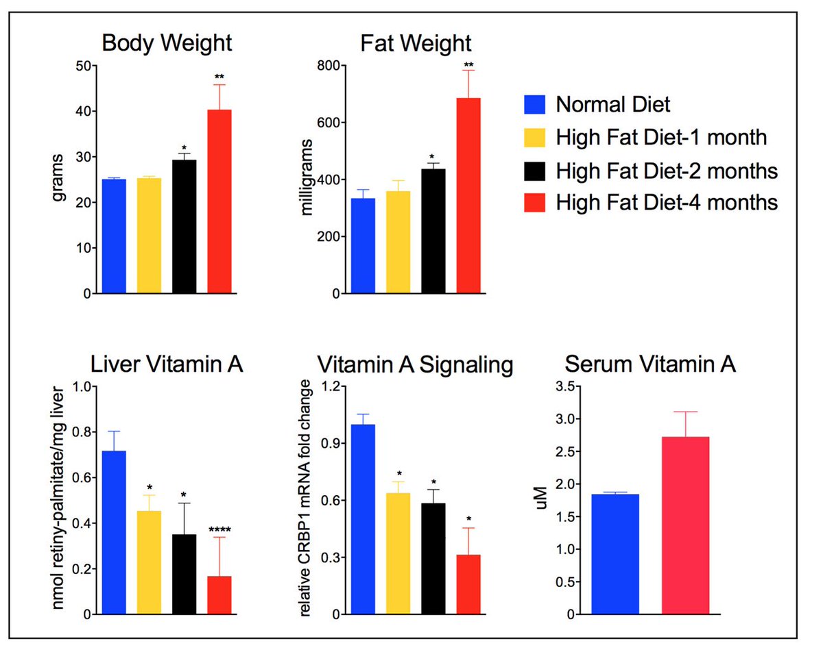 WeillCornell's tweet photo. #obesity impairs the body’s ability to use vitamin A, even with adequate intake @SciReports https://t.co/4nJ1eTFntV https://t.co/MmXOze52kj
