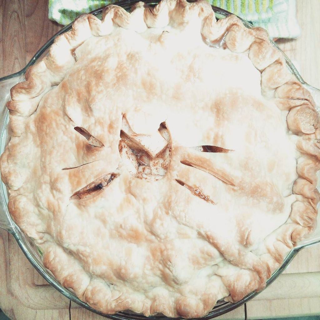 cats_like_us's tweet photo. I don't make apple pie very often, but when I do it has a cat crust. #catslikeus #applepie #catpie #baking #bakingi… https://t.co/VRk2DuZj8H