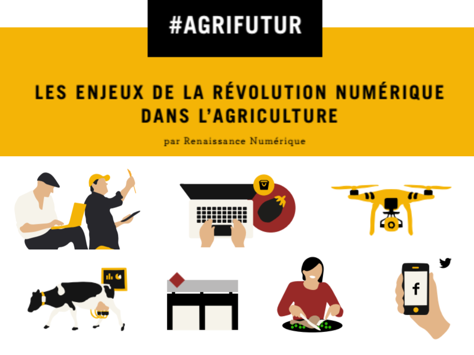 RNumerique's tweet photo. #Agrifutur #numerique
[J-13] - Publication du Livre blanc sur la transformation numérique de l'agriculture https://t.co/n9qBFo8ZTM