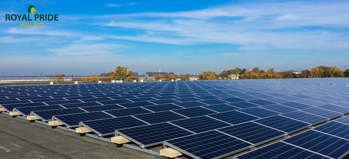 RoyalPridenl's tweet photo. Een gedeelte van de ruim 1500 #zonnepanelen op onze verpakkingshal, wat is #duurzaamheid mooi. https://t.co/z53aEAWbtL