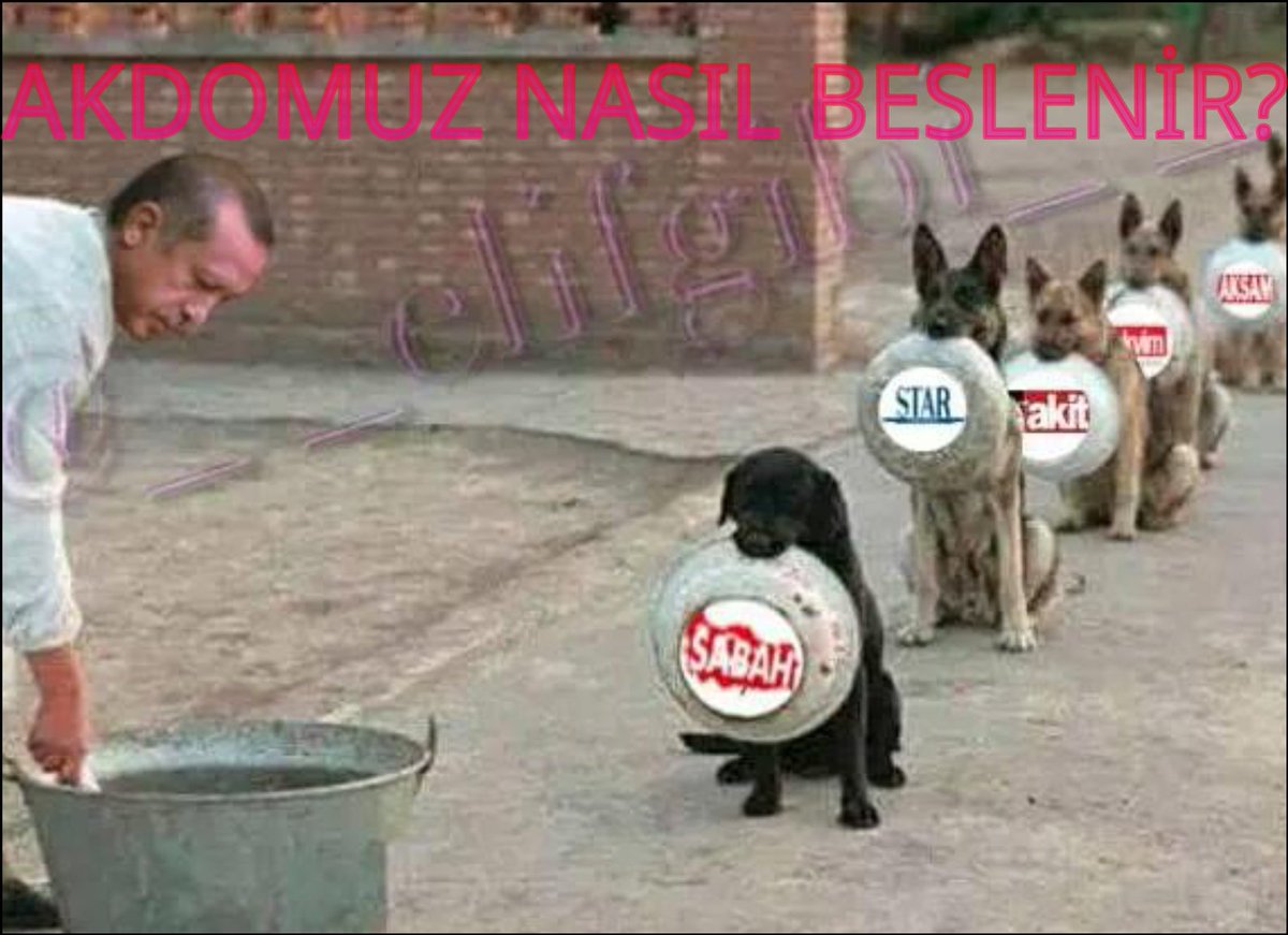 mehtap_yuceel's tweet photo. Yem böyle verilir https://t.co/B3TMo3YY0m