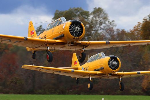 CdnHarvards's tweet photo. Fall colours at #CYTB https://t.co/m3DKy0rSAR