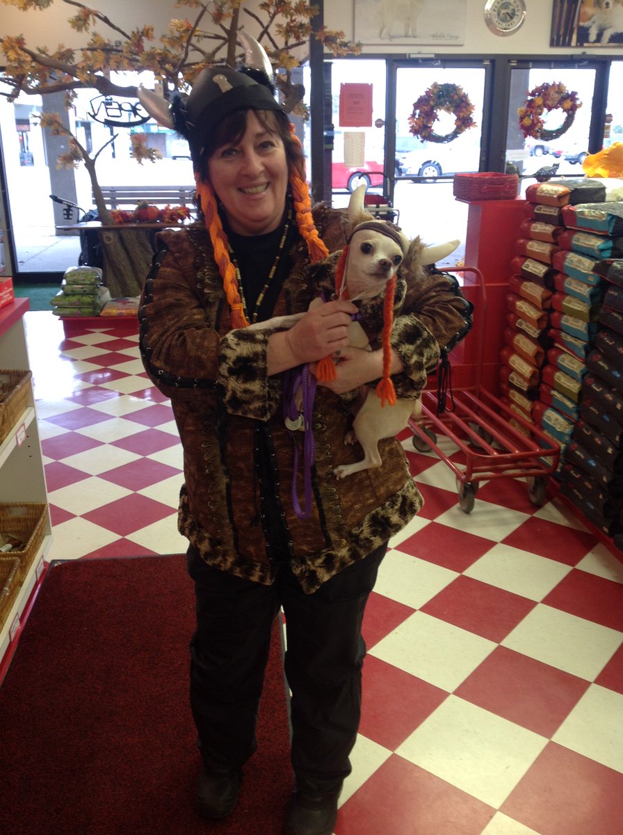 GlobalNiagara's tweet photo. Kathleen brought in Viking Pearl for a treat! #Dogs #Cute #GlobalNiagara #Halloween https://t.co/JnQvQlKMV3