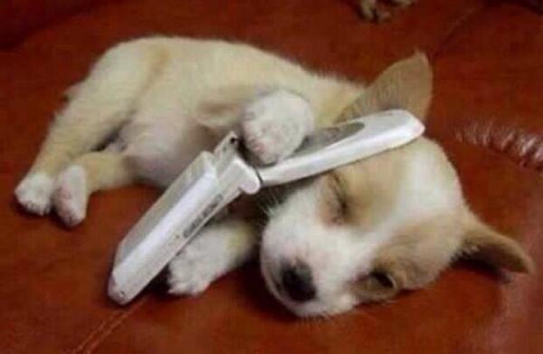 John____McClane's tweet photo. Dormirse todas las noches así #EscuchandoMás #YEscribiendoMenos https://t.co/nVhvM2f6eT
