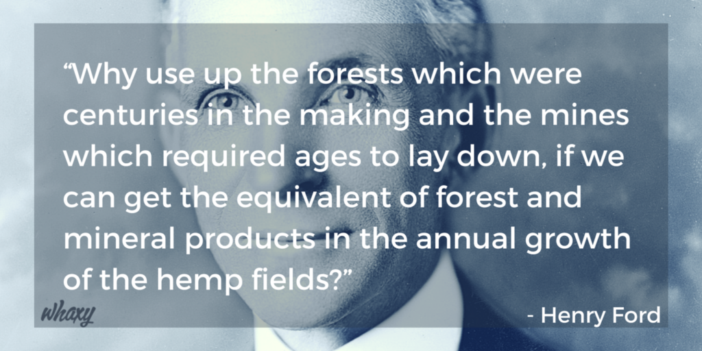 whaxyapp's tweet photo. How Long Until the Rest of the World Understands What #HenryFord Understood 150 Years Ago? #mmot #hemp @POTUS https://t.co/68eghKEI5x