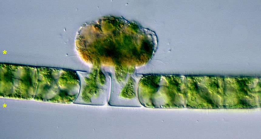 Thomas Sumner tweet media