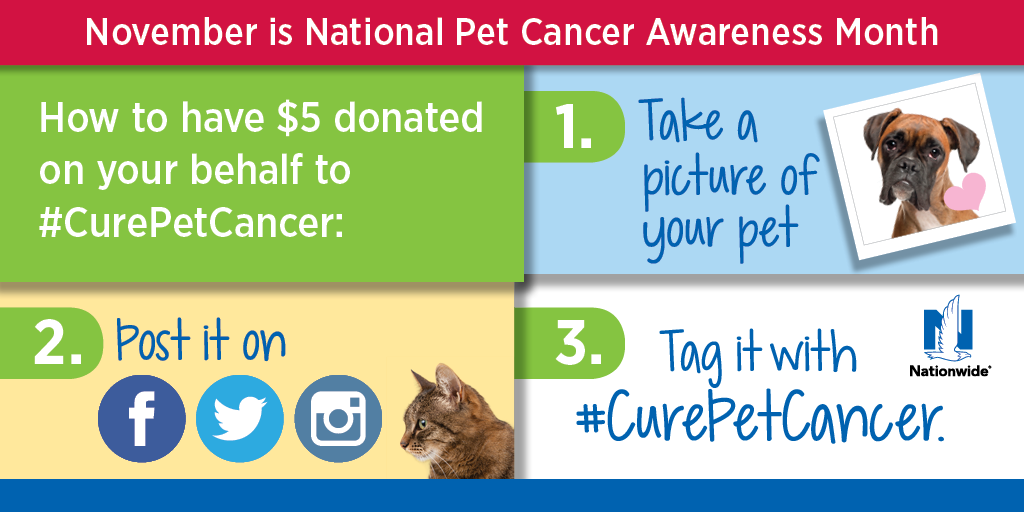 NationwidePet's tweet photo. You share, we give. It's that easy! https://t.co/PjK90KAk9G Please RT &amp; spread the word to help #CurePetCancer! https://t.co/mSfxcvt0Rn