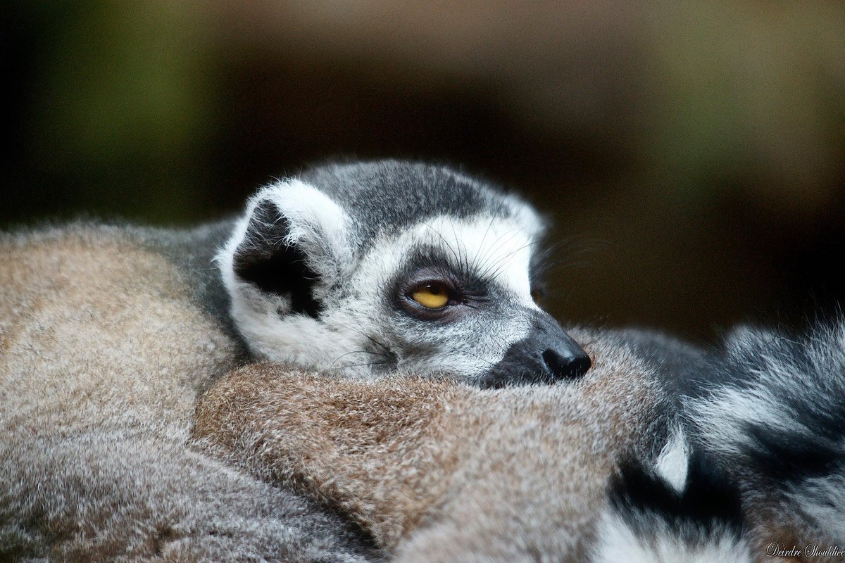 Just another Monday…