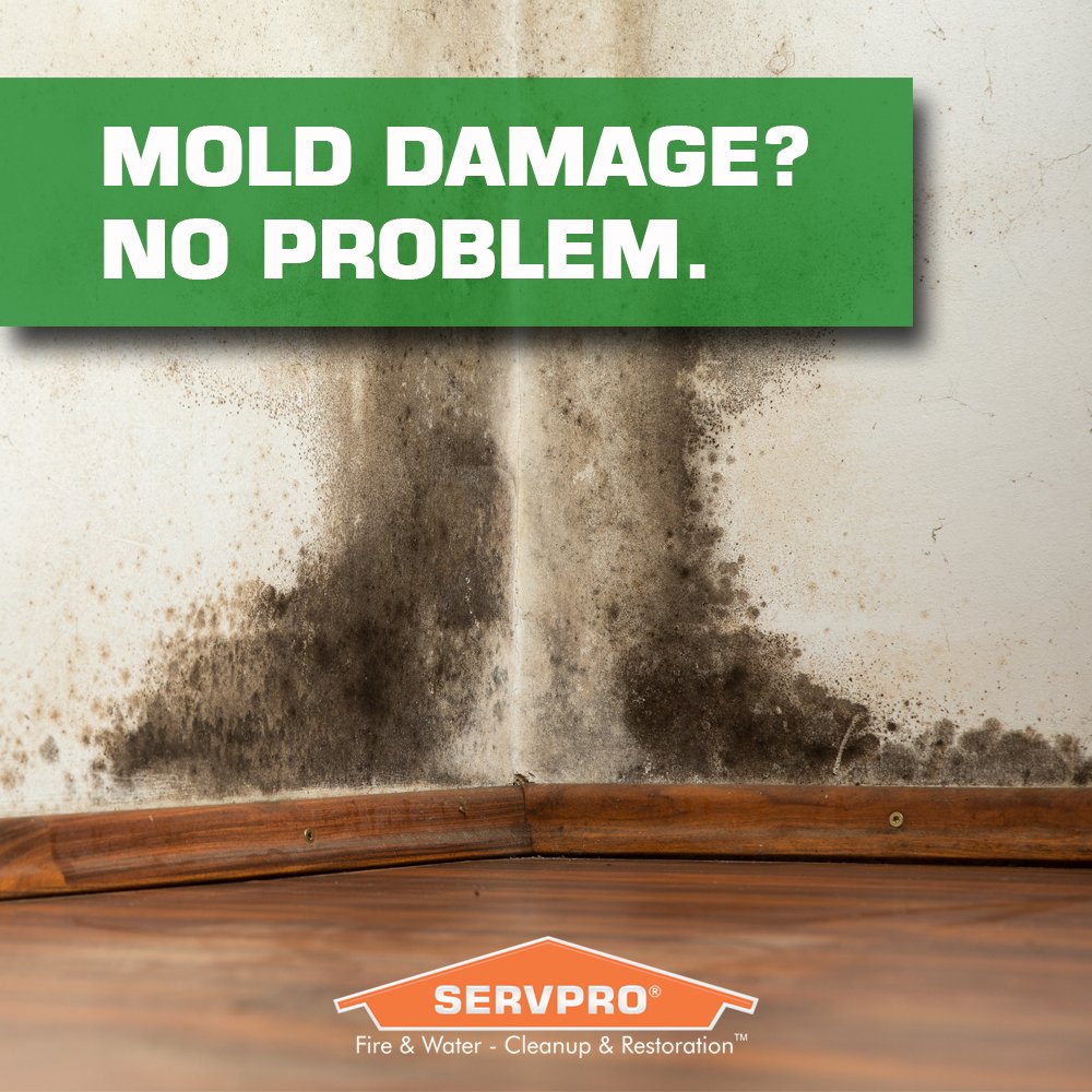 Mold Damage? No Problem! We can Help. #SERVPRO