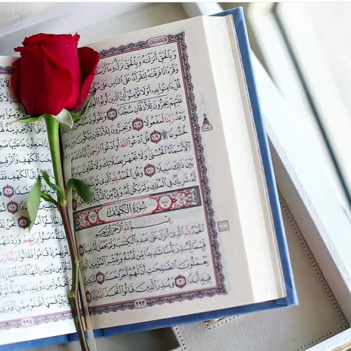 خرووج ..
دمتم بحفظ الله 🌹