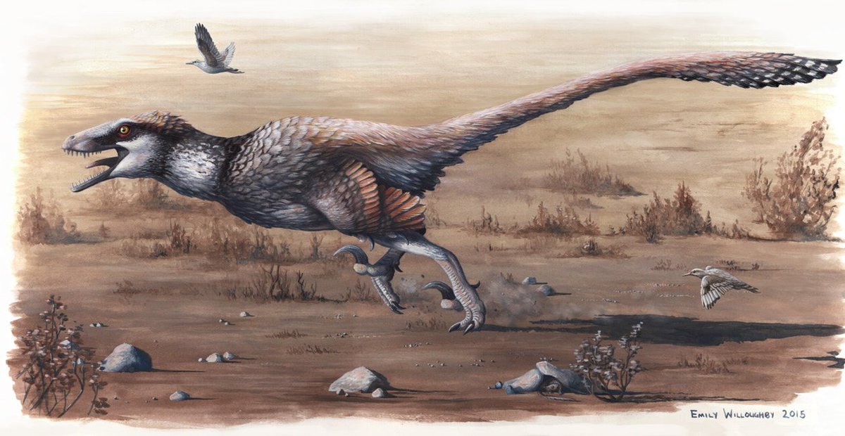 DiscoverMag's tweet photo. A giant raptor was recently discovered in South Dakota: https://t.co/mEhecrywMI https://t.co/lVIsmp28Mx