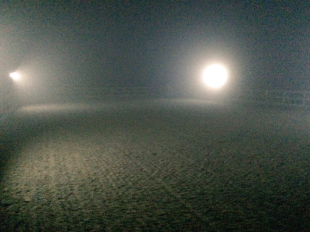 Izzy Botfield tweet media