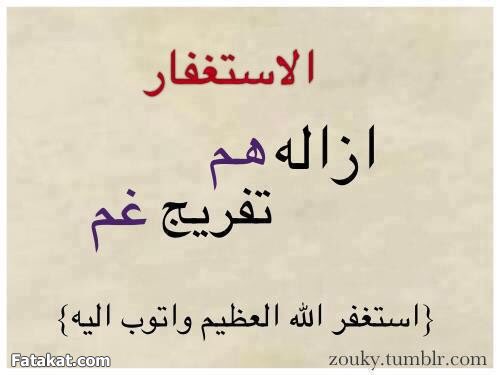 ibr_pppp's tweet image. 