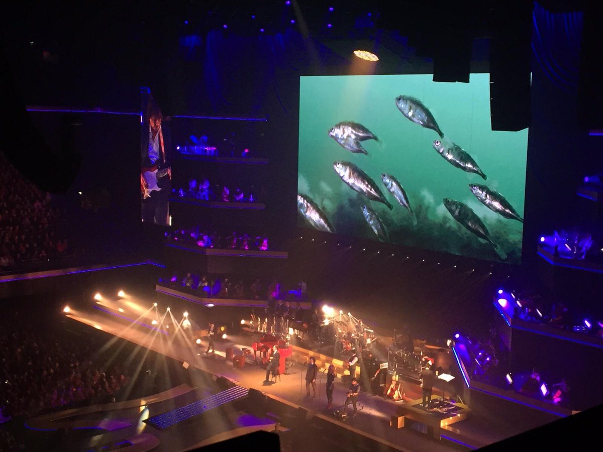 PaulBegijn's tweet photo. Ode aan de schoonheid van de #natuur bij #symphonicainrosso van @borsato 'Mooi'   https://t.co/ezskzfMUy8 https://t.co/lluJNXnkr4