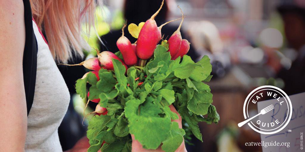 foodprintorg's tweet photo. As you're prepping for #Thanksgiving, source sustainable! The #EatWellGuide can help: https://t.co/47lurcum2c https://t.co/TpOmqV50Hg