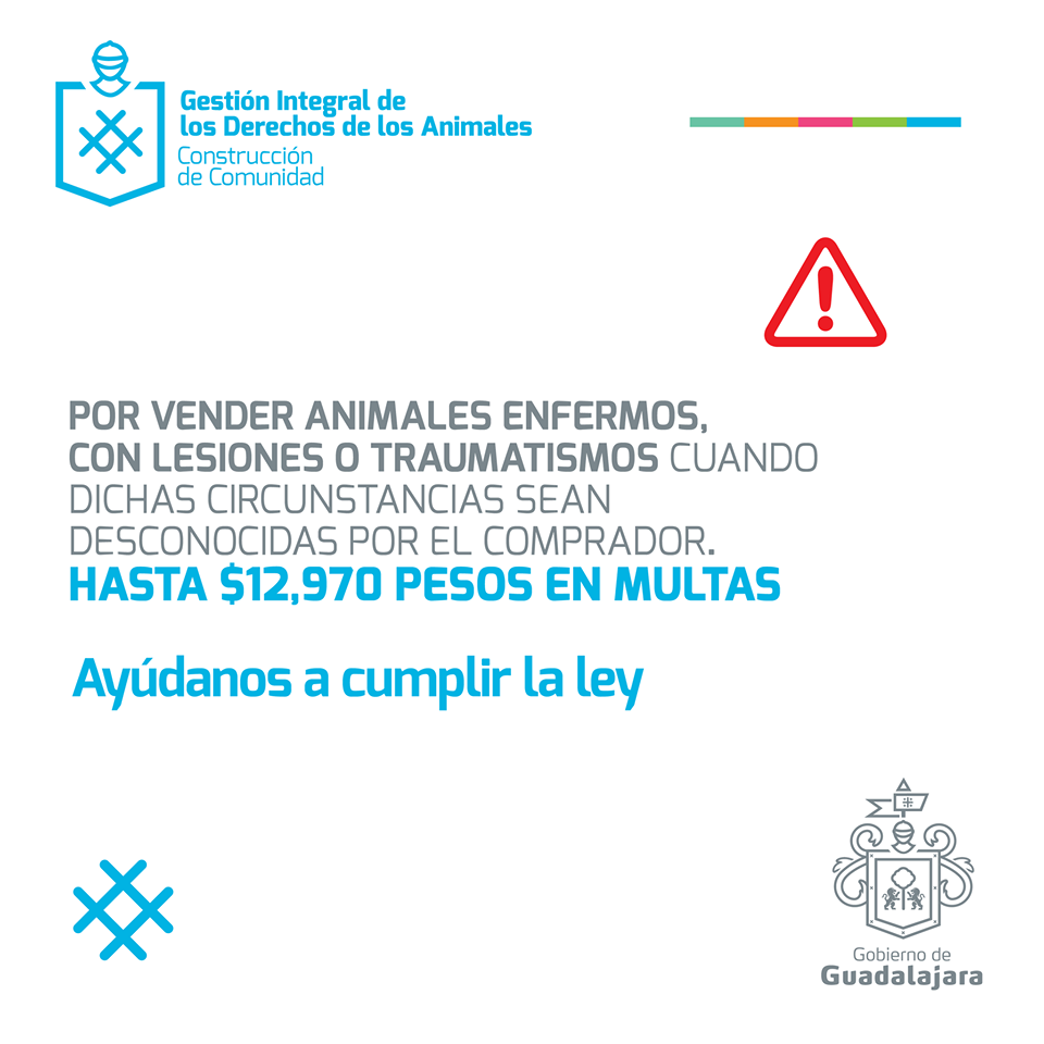 EnriqueAlfaroR's tweet photo. Hagamos conciencia, no compres y no vendas animales en la vía pública. Conoce aquí sus sanciones: https://t.co/i1zkONQ35x
