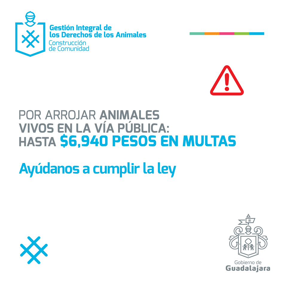 EnriqueAlfaroR's tweet photo. Hagamos conciencia, no compres y no vendas animales en la vía pública. Conoce aquí sus sanciones: https://t.co/i1zkONQ35x