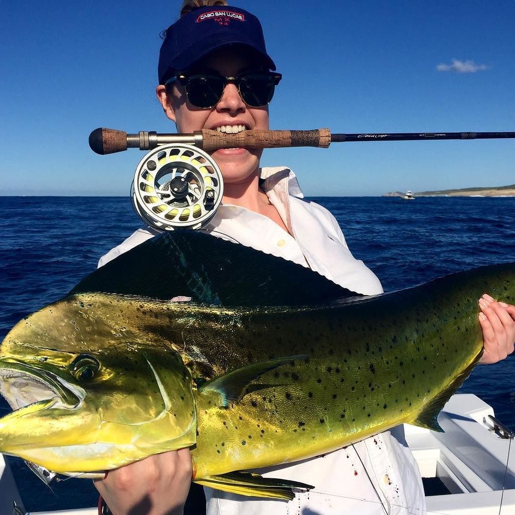 MientrasCabos's tweet photo. Cabo you have out done yourself #girlswhoflyfish #dorado #saltwaterflyfishing #switchbait … https://t.co/LzYPVL6vp5 https://t.co/LDYVEtYZCI