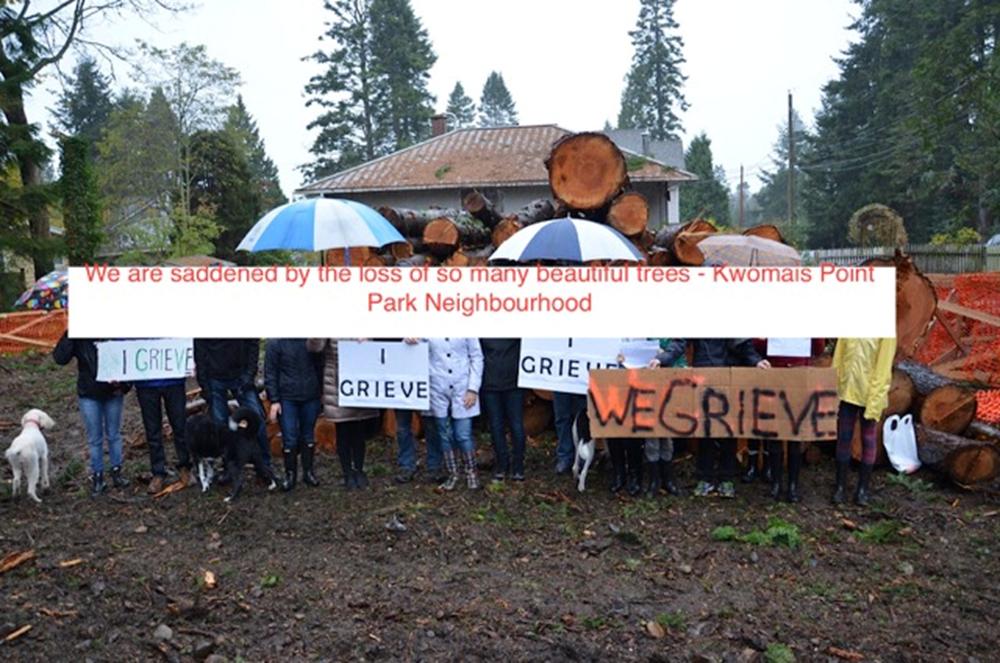 SurreyGrieves's tweet photo. Kwomais Point Park Neighbourhood grieves over loss of trees in their community. https://t.co/qSxhO3UtA7 https://t.co/nkytwwBe5r