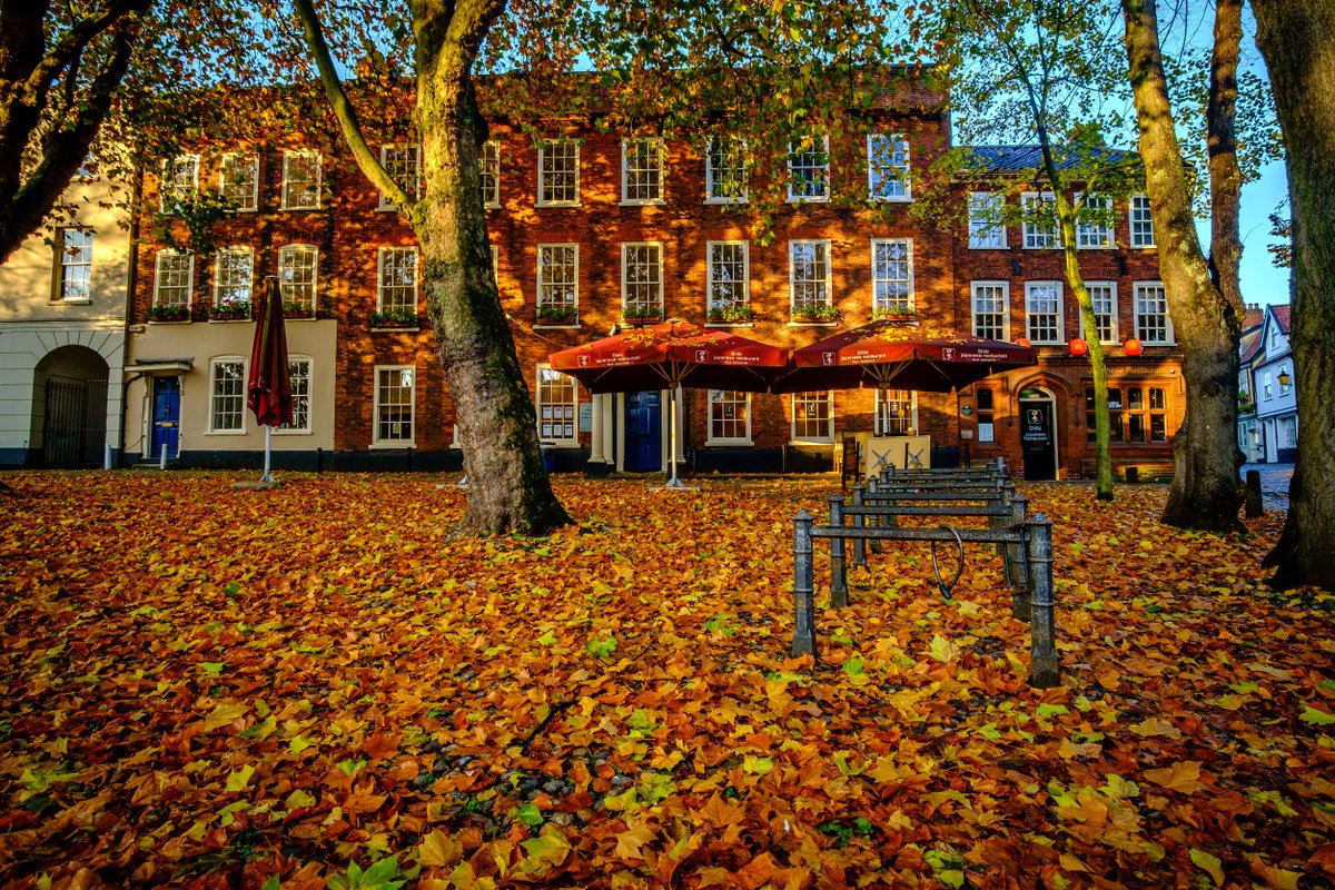 Hi #Norfolkhour, photos taken last week in #Norwich and Great Hockham Forest <a href="/visitnorfolk/">Visit Norfolk</a> #autumn #fall