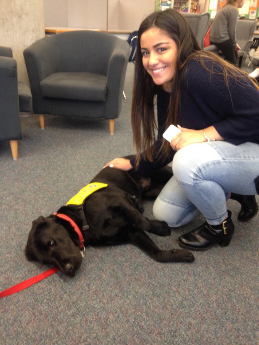 SHenderson43's tweet photo. Special guest from PADS with Chantal in the library today! #RSLibrary https://t.co/Vn8JqgdNJE