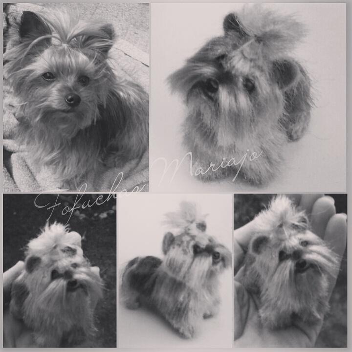 mariajofernande's tweet photo. PERRITO DE AFIELTRADO DE LANA CON AGUJAS, https://t.co/4A52VwnVCt