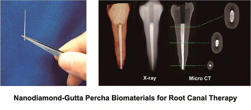 plasmachem_com's tweet photo. Nanodiamonds for antibacterial dental implants https://t.co/2gIl6XaaiZ https://t.co/2iX1Z8st0D