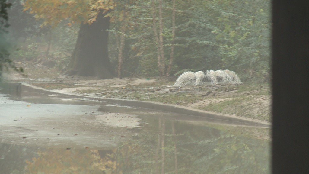 View image on Twitter