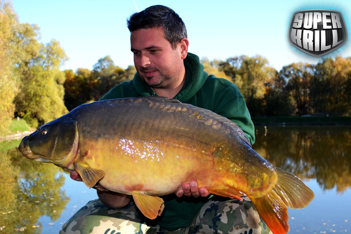 BFlamaing's tweet photo. Just a sunny sunday afternoon in November... #Dreambaits #SuperKrill https://t.co/XtEs0AFQJg