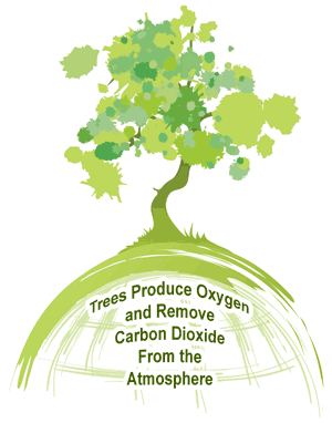 terrapass's tweet photo. #savethetrees #environmentalquote https://t.co/cttaowUK7b