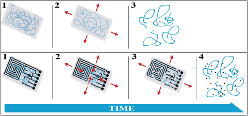 rmontazami's tweet photo. Our recent work on #transientelectronics is published in @polymerphysics @WileyPolymers
https://t.co/70qNK4ZwEw https://t.co/bDukqg3FWi