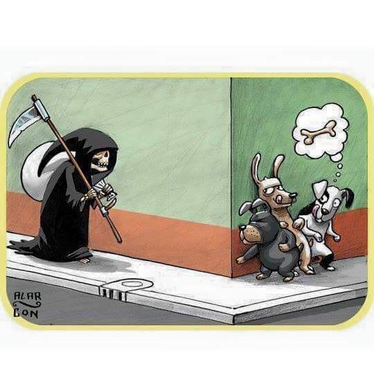 nydiacervera's tweet image. #DiaDeMuertos ja ja ja ja #HumorPerruno