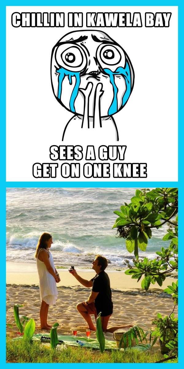 TurtleBayResort's tweet photo. <3 #MemeMonday #TurtleBabe #turtlebayresort https://t.co/IDACsPcgnk